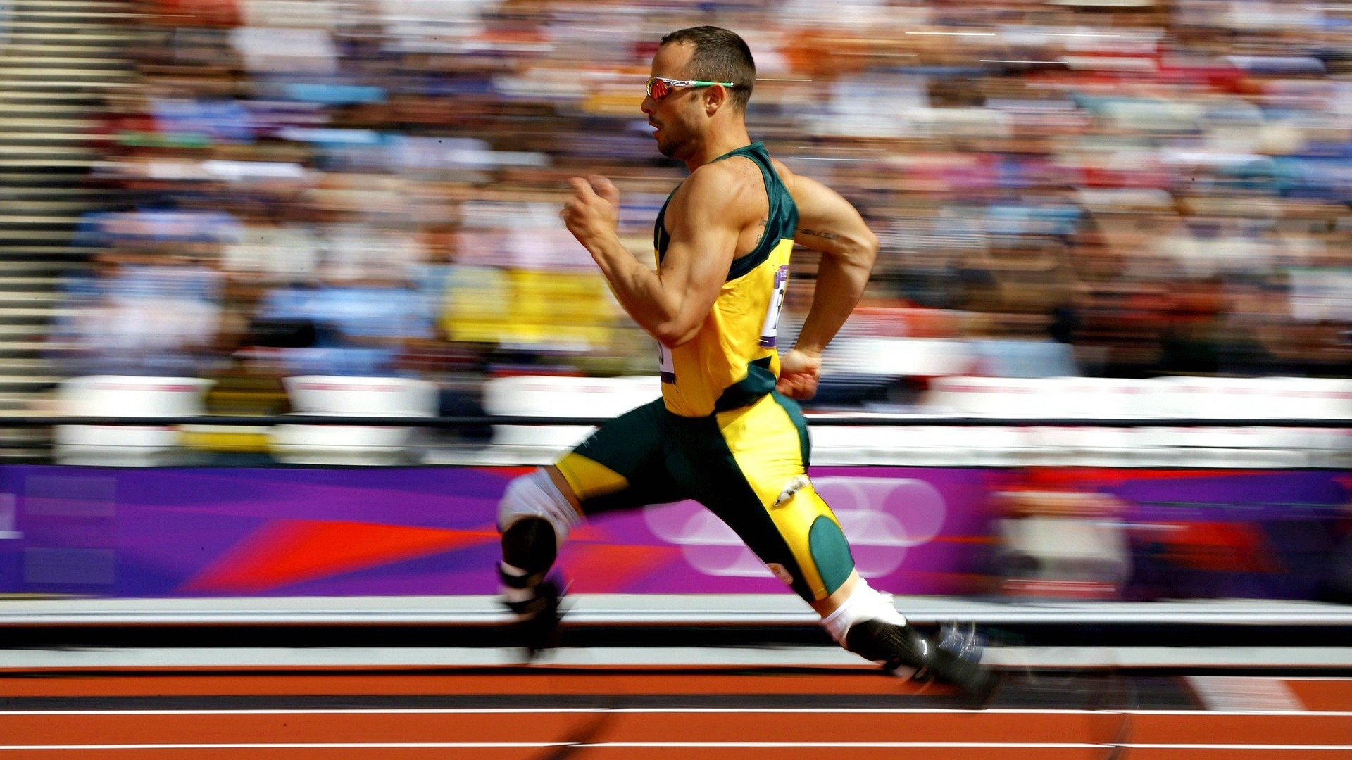 世界杯焦点战与CBA新势力，当美加墨足球风暴遇上广东男篮的收割艺术