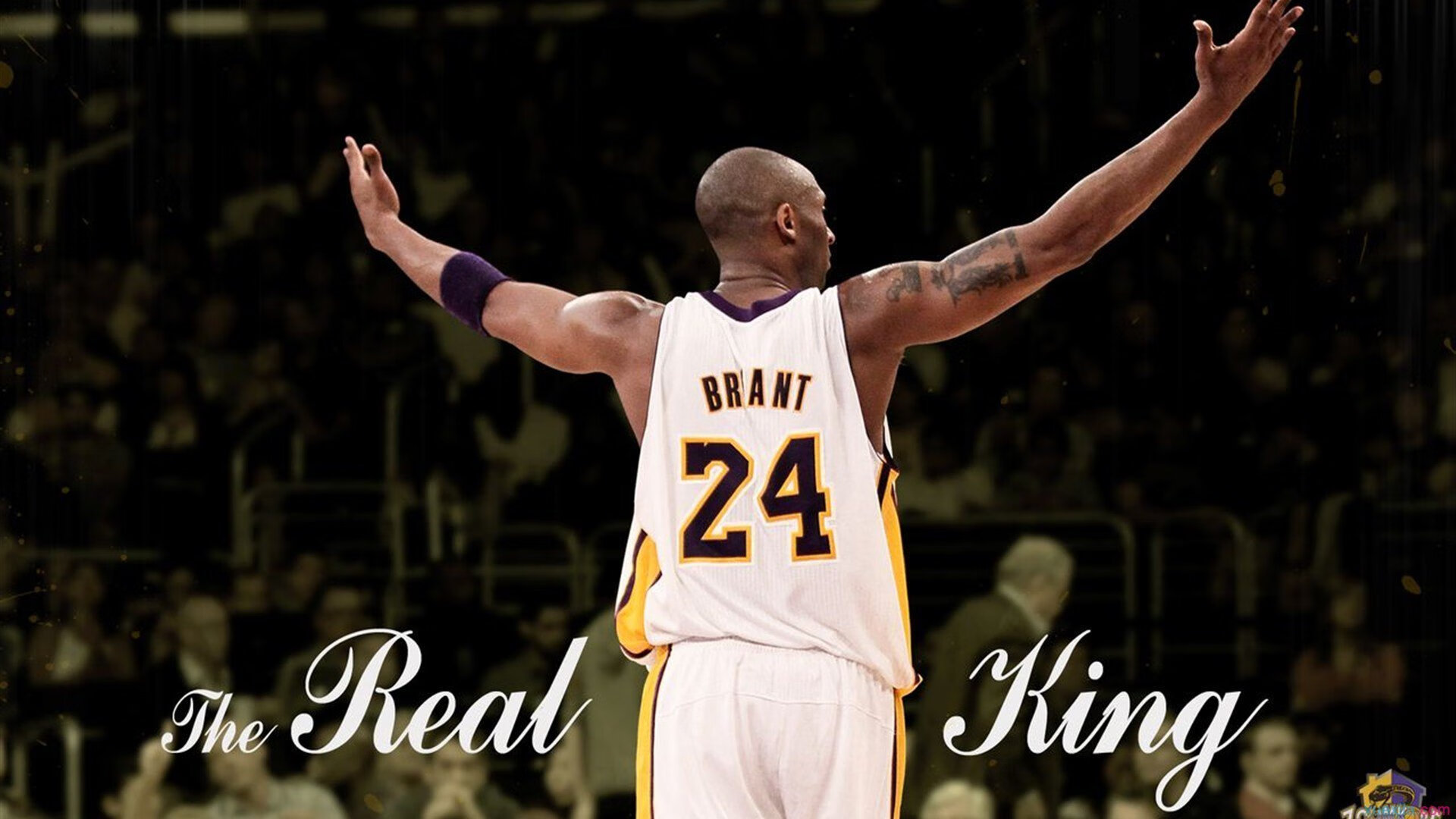 西亚卡姆的沉默咆哮，当雄鹿的盾牌碾碎篮网的锋芒